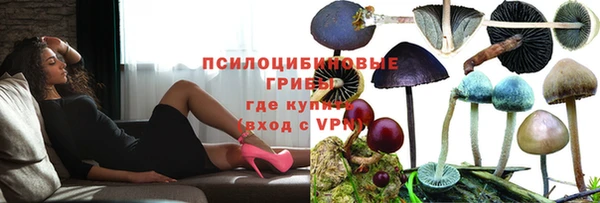 стаф Армянск