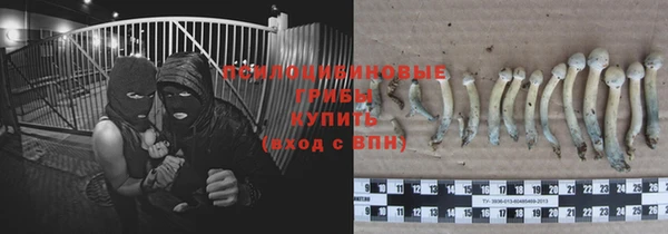 стаф Армянск