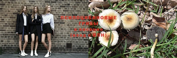 прущий лед Аркадак