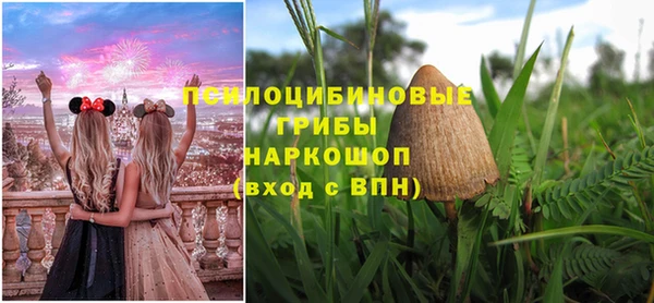прущий лед Аркадак