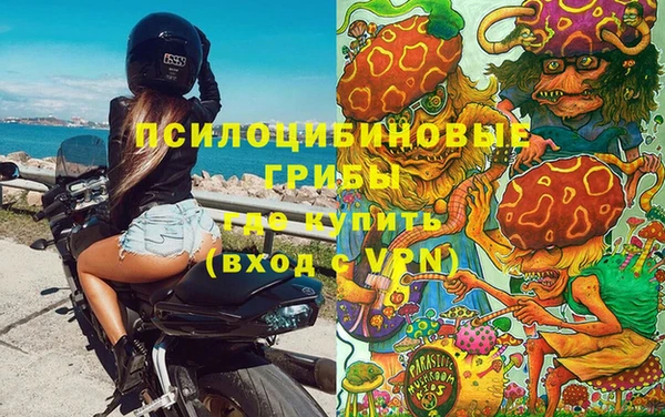 стаф Армянск