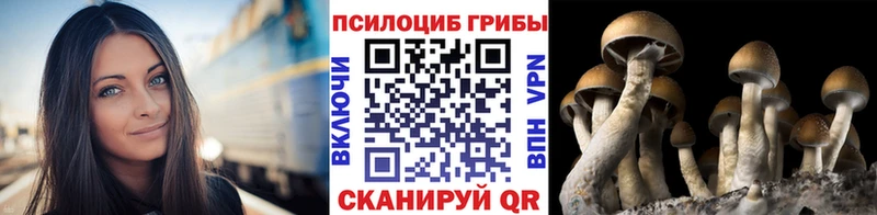Галлюциногенные грибы GOLDEN TEACHER  как найти наркотики  Сегежа 